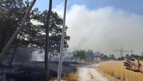 PROGLAŠENA VANREDNA SITUACIJA: Bukte požari širom Bora PROGLAŠENA VANREDNA SITUACIJA: Bukte požari širom Bora