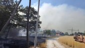 PROGLAŠENA VANREDNA SITUACIJA: Bukte požari širom Bora