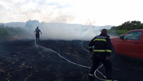 UGAŠENI SVI POŽARI U JABLANIČKOM OKRUGU: Posle četiri dana borbe stanje pod kontrolom (FOTO) UGAŠENI SVI POŽARI U JABLANIČKOM OKRUGU: Posle četiri dana borbe stanje pod kontrolom (FOTO)