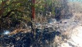 VATRA NIJE POŠTEDELA NI EPARHIJU RAŠKO-PRIZRENSKU: I pored junačkih napora meštana i monahinja ogromna šteta od požara