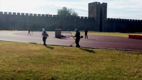 NEMA ODMORA NI NA PLUS 35: Uprkos vrućini uređuju se parkovi i Smederevska tvrđava NEMA ODMORA NI NA PLUS 35: Uprkos vrućini uređuju se parkovi i Smederevska tvrđava