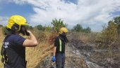 ВЕЛИКИ ПОЖАР У БЕОГРАДУ, ГОРИ БАТАЈНИЦА: Ватрена стихија шири се невероватном брзином, повређен ватрогасац (ФОТО/ВИДЕО)