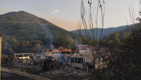 STIŽE DRŽAVNA POMOĆ ZA OŠTEĆENE U POŽARIMA: Evo kada počinje isplata STIŽE DRŽAVNA POMOĆ ZA OŠTEĆENE U POŽARIMA: Evo kada počinje isplata