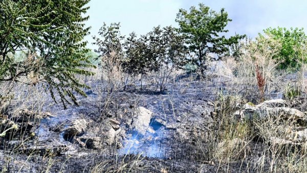 ПЛАНУЛО РАСТИЊЕ И ДИВЉА ДЕПОНИЈА: Избио пожар поред Батајничког друма, ватра гашена неколико сати ПЛАНУЛО РАСТИЊЕ И ДИВЉА ДЕПОНИЈА: Избио пожар поред Батајничког друма, ватра гашена неколико сати