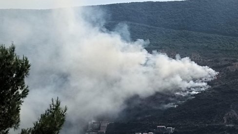 POZNAT IDENTITET MUŠKARCA KOJI JE IZAZVAO POŽAR U HERCEG NOVOM: Vatra išla ka kućama -stanovništvo preživelo agoniju (FOTO) POZNAT IDENTITET MUŠKARCA KOJI JE IZAZVAO POŽAR U HERCEG NOVOM: Vatra išla ka kućama -stanovništvo preživelo agoniju (FOTO)