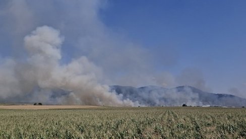 DEPONIJA I AERODROM SPAŠENI OD POŽARA: U Vršcu ceo dan gori nisko rastinje i oranice DEPONIJA I AERODROM SPAŠENI OD POŽARA: U Vršcu ceo dan gori nisko rastinje i oranice