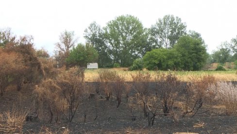 АЛАРМАНТНА СИТУАЦИЈА У ПОМОРАВСКОМ ОКРУГУ Паљење стрништа опасно и штетно АЛАРМАНТНА СИТУАЦИЈА У ПОМОРАВСКОМ ОКРУГУ Паљење стрништа опасно и штетно