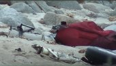 NAĐENO TROJE MRTVIH: Pao avion u Tihi okean - nesreća kod obale Kalifornije (VIDEO) NAĐENO TROJE MRTVIH: Pao avion u Tihi okean - nesreća kod obale Kalifornije (VIDEO)