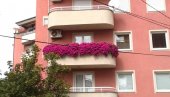 НАЈЛЕПШЕ БАШТЕ И БАЛКОНИ: Проглашење победника и додела награда 9. августа