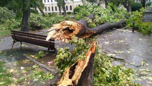 ЈОШ ТРАЈЕ САНИРАЊЕ ПОСЛЕДИЦА ОЛУЈНОГ НЕВРЕМЕНА У ПОЖАРЕВЦУ, ОД 26. ЈУЛА Одшета само на јавним површинама ЈОШ ТРАЈЕ САНИРАЊЕ ПОСЛЕДИЦА ОЛУЈНОГ НЕВРЕМЕНА У ПОЖАРЕВЦУ, ОД 26. ЈУЛА Одшета само на јавним површинама