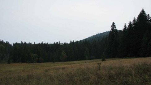 ZA DVE LIVADE NA TARI VLASNIK TRAŽI 200.000 EVRA: U oglasu se navodi da su na placevima dostupni voda i struja