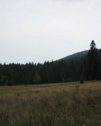 ДРУГА ГРУПА ОБРЕНОВАЧКИХ ЂАКА ОТПУТОВАЛА НА ТАРУ: Еко камп за 375 ученика ОШ  Јефимија