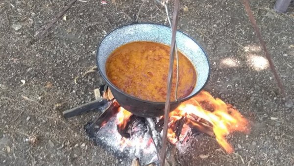 ПАНТЕЛЕЈМОНСКИ ДАНИ: Манифестација у порти Цркве Светог Николе