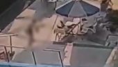OVO JE TRENUTAK KADA JE UPUCAN KAN: Stravičan snimak napada pored bazena (VIDEO)