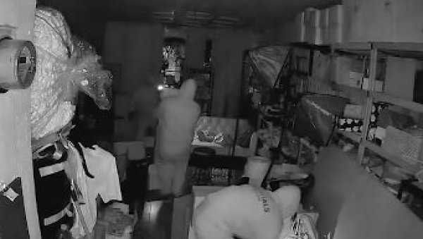 ЛОПОВИ УКРАЛИ ЛАБУБУ ЛУТКЕ: Однели робу вредну више од 30.000 долара (ВИДЕО) ЛОПОВИ УКРАЛИ ЛАБУБУ ЛУТКЕ: Однели робу вредну више од 30.000 долара (ВИДЕО)