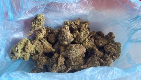 U VJT PRIVEDENA ŽENA IZ OBRENOVCA: U radnji za prodaju slatkiša pronađena marihuana