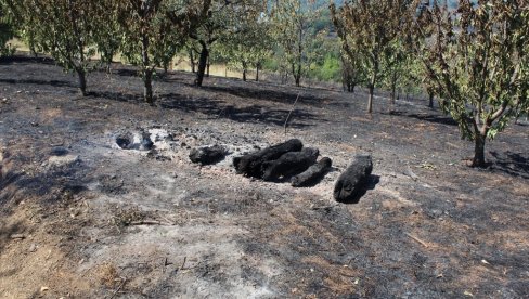 KUĆE SAČUVANE OD VATRE: Požar u dva sela Jablaničkog okruga