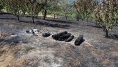 KUĆE SAČUVANE OD VATRE: Požar u dva sela Jablaničkog okruga