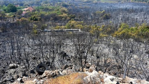 10 MASKIRANIH LICA POKUŠALO DA IZAZOVE POŽAR: Užas na brdu Gorica u Podgorici 10 MASKIRANIH LICA POKUŠALO DA IZAZOVE POŽAR: Užas na brdu Gorica u Podgorici