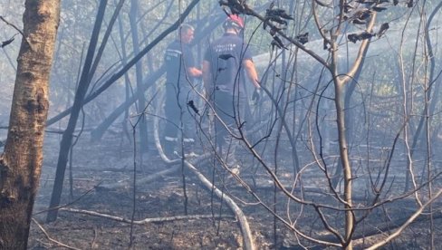 ВАТРОГАСЦИ НЕ СТАЈУ : У Шумадији активно десетак пожара ВАТРОГАСЦИ НЕ СТАЈУ : У Шумадији активно десетак пожара