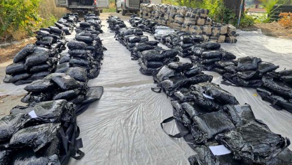 ДАЧИЋ: Полиција запленила око две тоне марихуане у Београду, ухапшени осумњичени