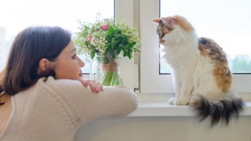 MAČKU NIKAKO NE GLEDAJTE U OČI! Sujeverje potvrdila nauka i kaže da u pogledu krije nešto neočekivano MAČKU NIKAKO NE GLEDAJTE U OČI! Sujeverje potvrdila nauka i kaže da u pogledu krije nešto neočekivano