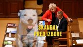 СКАНДАЛ ПРЕД ИЗБОРЕ: Оптужена да је наручила УБИСТВО ПСА нове девојке бившег мужа