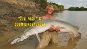 ZASTRAŠUJUĆE: Upecao veoma retku ribu - ogromnu! Živi fosil iz doba dinosaurusa (FOTO)