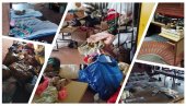 СВИЊАЦ НА ФИЛОЗОФСКОМ У НОВОМ САДУ: Ево шта су оставили блокадери (ФОТО) СВИЊАЦ НА ФИЛОЗОФСКОМ У НОВОМ САДУ: Ево шта су оставили блокадери (ФОТО)