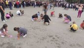 DECA SU UKRAS SVETA: Mališani iz Vranjske Banje dočekuju goste uz poruke i crteže na kružnom prelazu (FOTO)(VIDEO)