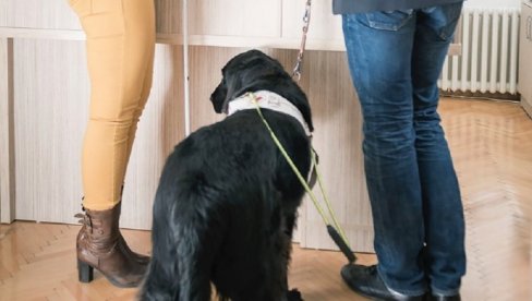 APEL NVO „BIJELI ŠTAP“: Iz zakona u CG o veštačenju invaliditeta izuzeti osobe sa urođenim invaliditetom APEL NVO „BIJELI ŠTAP“: Iz zakona u CG o veštačenju invaliditeta izuzeti osobe sa urođenim invaliditetom
