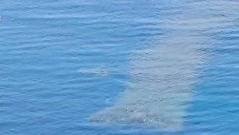 LJUDI U ŠOKU GLEDAJU ŠTA SE DEŠAVA U MORU U CRNOJ GORI: Zna li neko šta je ovo, pogledajte kako se brzo kreće (VIDEO)