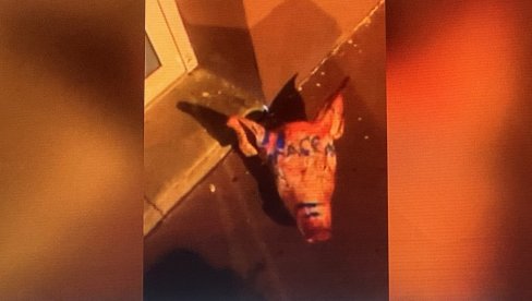 OSTAVILI SVINJSKE GLAVE ISPRED DŽAMIJA: Teške provokacije na verskoj osnovi u Parizu - Na jednoj napisano Makronovo ime OSTAVILI SVINJSKE GLAVE ISPRED DŽAMIJA: Teške provokacije na verskoj osnovi u Parizu - Na jednoj napisano Makronovo ime