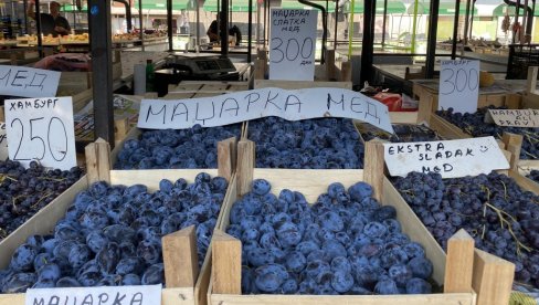 КИЛОГРАМ ШЉИВА 300 ДИНАРА: На тезгама добра понуда воћа, али цене високе КИЛОГРАМ ШЉИВА 300 ДИНАРА: На тезгама добра понуда воћа, али цене високе