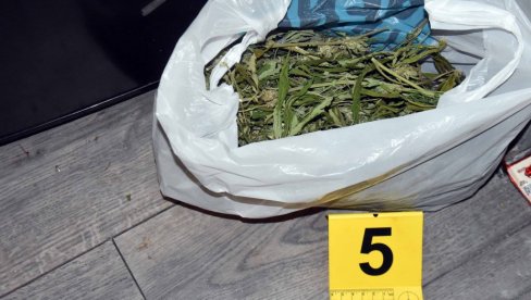 OTKRIVEN ZASAD KANABISA, A U KUĆI SASUŠENE BILJKE: Subotičaninu osumnjičenom za proizvdnju i trgovinu drogom određen kućni pritvor OTKRIVEN ZASAD KANABISA, A U KUĆI SASUŠENE BILJKE: Subotičaninu osumnjičenom za proizvdnju i trgovinu drogom određen kućni pritvor
