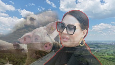НЕ СМЕ ДА УНИШТИ СВЕТИЊУ! Цеца прави фарму на Авали, мештани узнемирени: Само преко нас мртвих, звали смо свештеника!