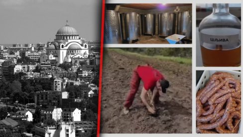 GLUMAC NAPUSTIO VRAČAR I OTIŠAO NA SELO: Ima svinje, voće, rakiju, vino, kobasice - i radi sve poslove (FOTO) GLUMAC NAPUSTIO VRAČAR I OTIŠAO NA SELO: Ima svinje, voće, rakiju, vino, kobasice - i radi sve poslove (FOTO)