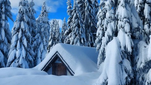 OBJAVLJENA VELIKA PROGNOZA ZA SEVERNU POLOVINU PLANETE: Da li nam stiže jaka i hladna zima?