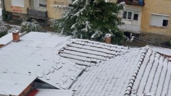 СТИГАО СНЕГ: Данас је забелео исток Србије, а сутра се очекује и у Београду - Ево какво нас време очекује наредних дана (ФОТО)