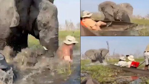 PREVIŠE PRIŠLI MLADUNCIMA: Besna slonica prevrnula kanu, ljudi završili u reci punoj krokodila - jednu turistkinju glavom davila u mutnoj vodi