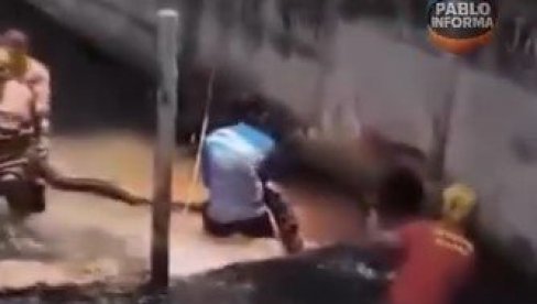 ANAKONDA DUGA PET METARA PRESTRAVILA KUPAČE NA PLAŽI: Pozvani vojni vatrogasci da je uklone ANAKONDA DUGA PET METARA PRESTRAVILA KUPAČE NA PLAŽI: Pozvani vojni vatrogasci da je uklone