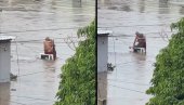 U SMRT ILI ŽIVOT - SAMO DA SMO ZAJEDNO: Baka i deka noć proveli na krovu kuće - on otplivao s njom na leđima (VIDEO)
