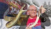 HLADNO, A ZMIJE SVUD PO SRBIJI: Viđene i na snegu! Stari kažu - LOŠ ZNAK, a evo kako to objašnjavaju stručnjaci
