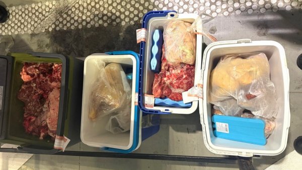 ЗАПЛЕЊЕНО МЕСО ИСКОРИСТИЋЕ СЕ ЗА ИСХРАНУ ЖИВОТИЊА У ЗОО ПАЛИЋ: На Хоргошу спречен покушај кријумчарења 140 килограма меса ЗАПЛЕЊЕНО МЕСО ИСКОРИСТИЋЕ СЕ ЗА ИСХРАНУ ЖИВОТИЊА У ЗОО ПАЛИЋ: На Хоргошу спречен покушај кријумчарења 140 килограма меса