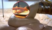 KAKO SE PRAVE VIRŠLE: Posle snimka, gledaćete ih DRUGIM očima! Hoćete li ih i dalje jesti? (VIDEO)