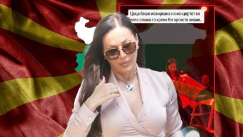 CECA JE IZMANIPULISANA! Evo ko je kriv za incident - oglasio se poznati pevač
