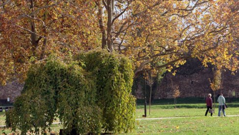 У ГЛАВНОМ ГРАДУ МАГЛА, А ЕВО ГДЕ СЕ ОЧЕКУЈЕ СУНЦЕ: Временска прогноза за 11. децембар