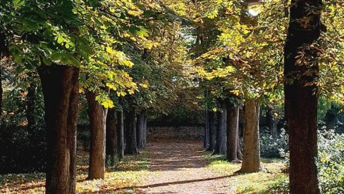 JESEN KROZ OBJEKTIV MLADIH: Dom omladine Vršac raspisao foto-konkurs