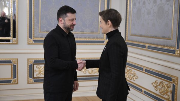 ЗЕЛЕНСКИ О САСТАНКУ СА БРНАБИЋ: Процес европских интеграција је стратешки циљ обе наше земље (ВИДЕО)