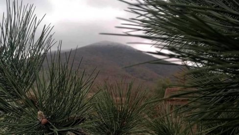 VRŠČANI OKUPILI SVOJE PREDSTAVNIKE U SKUPŠTINI VOJVODINE I UKAZALI IM NA NEZAKONITOSTI   Poslanici - nada za Gudurički vrh